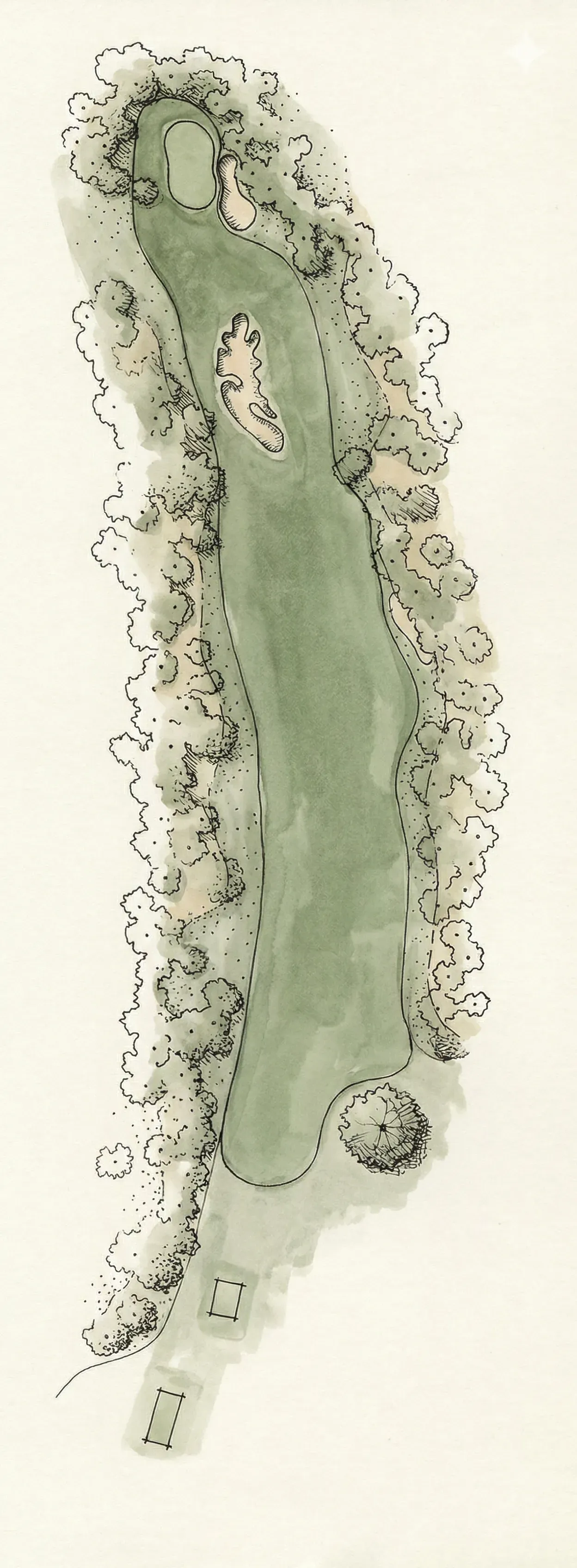 Camellia - Full View